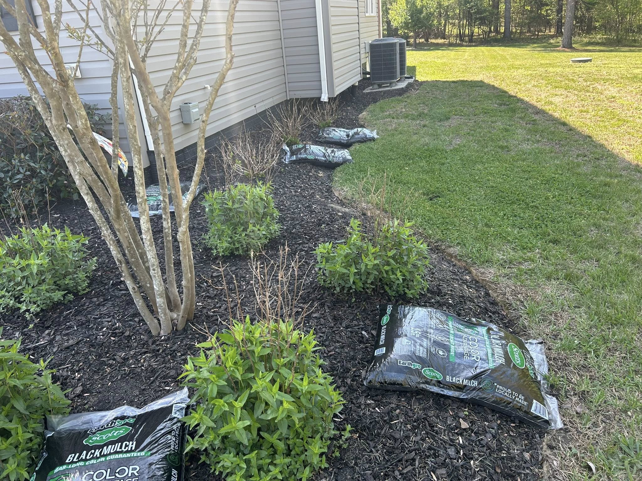 Fresh black mulch installed in a foundation planting bed along a home