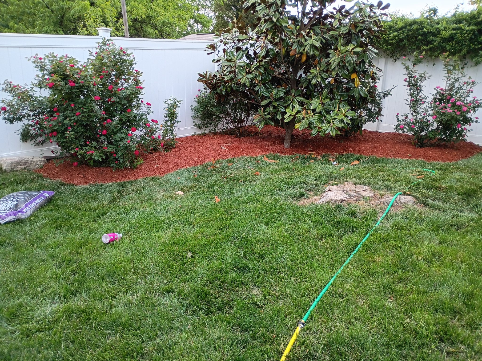 Fresh red mulch installed along a white fence with rose bushes and ornamental plants